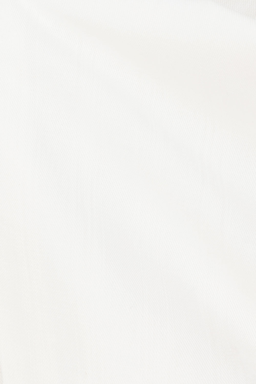 true-to-color:#ffffff