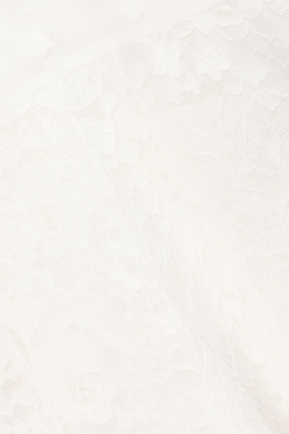 true-to-color:#ffffff