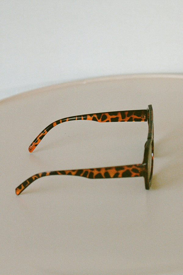 Rexha Aviator Sunglasses - Brown