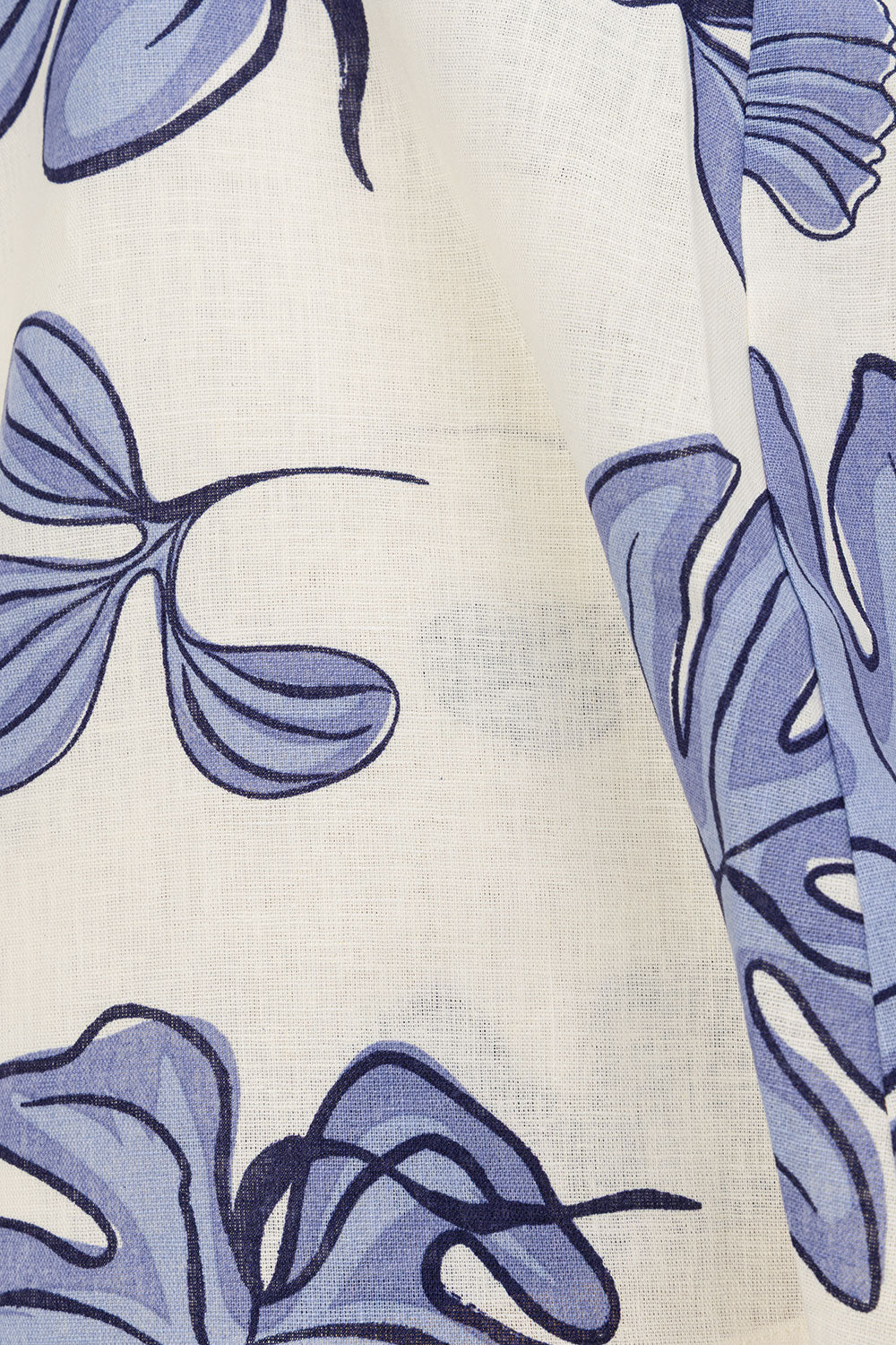 true-to-color:#ffffff