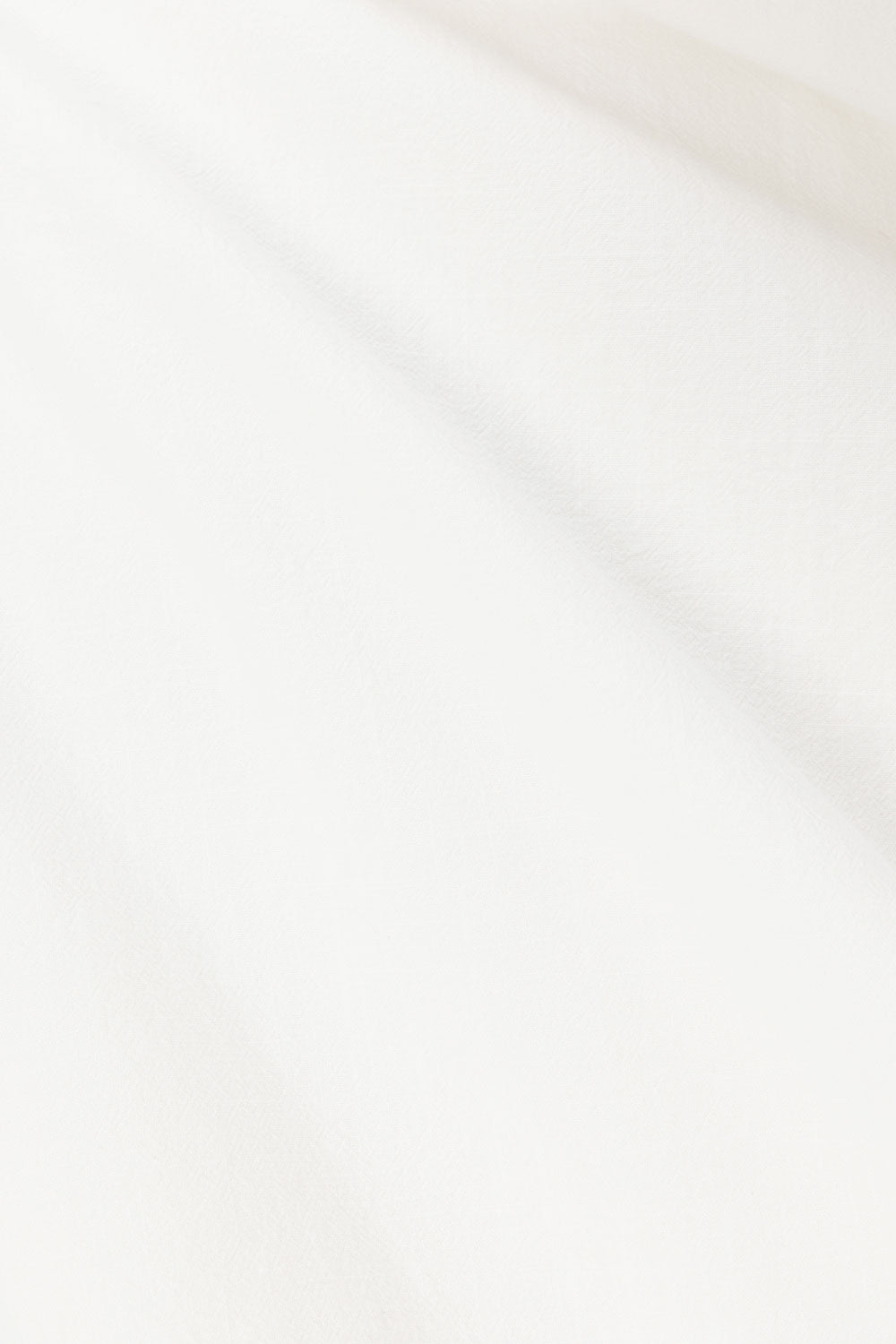 true-to-color:#ffffff