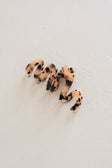 Mimi Twirl Claw Hair Clip