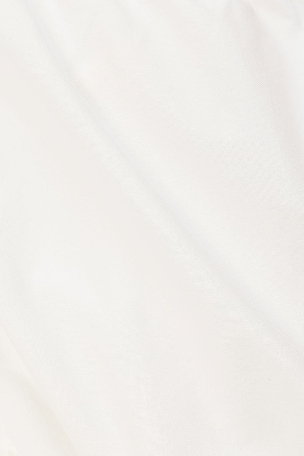 true-to-color:#ffffff