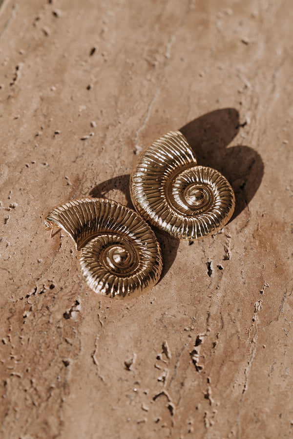 Gold Toned Sundial Shell Earrings