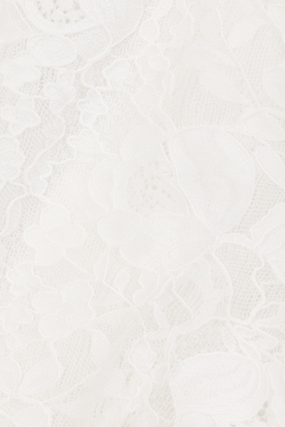 true-to-color:#ffffff