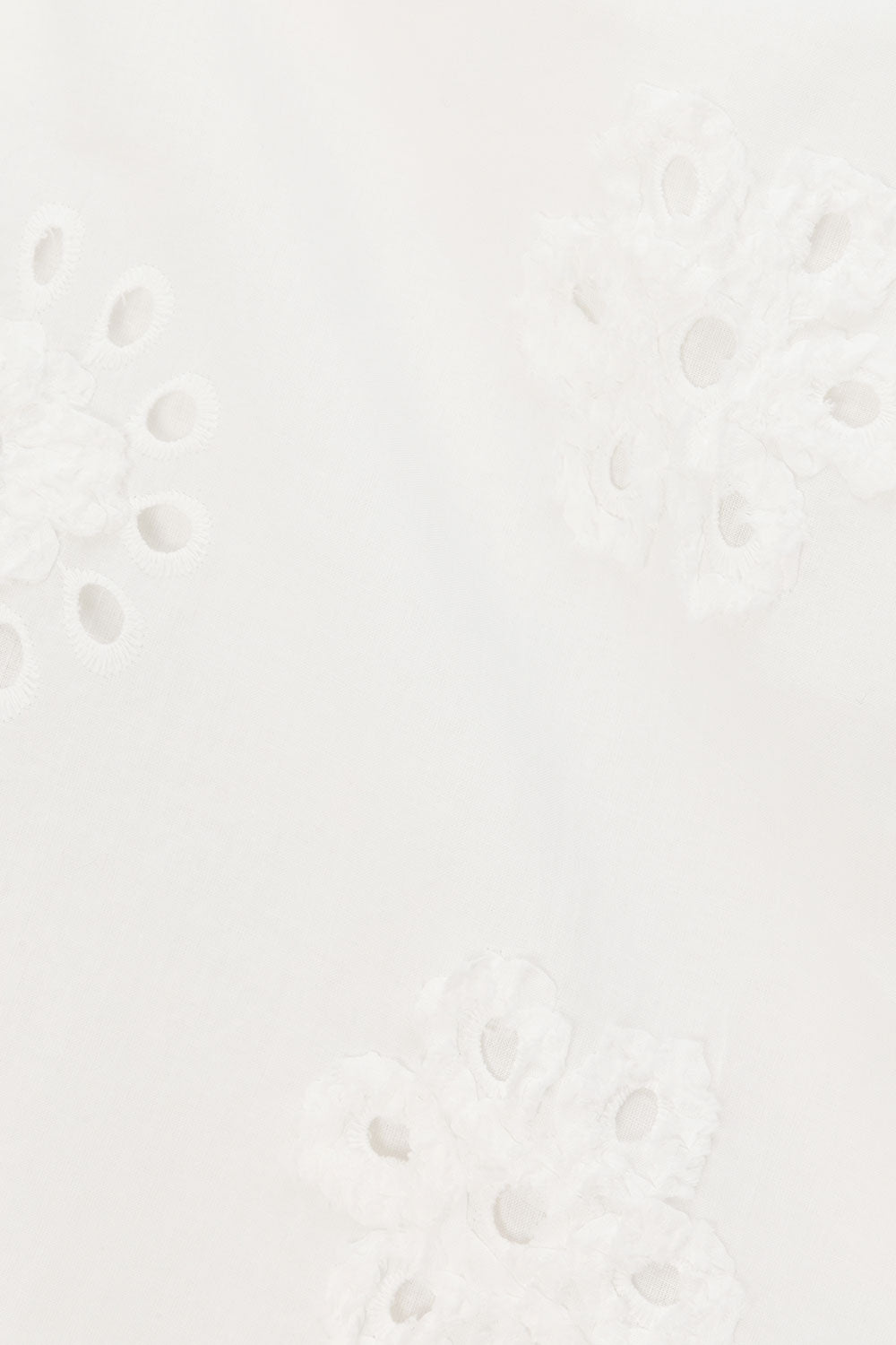 true-to-color:#ffffff