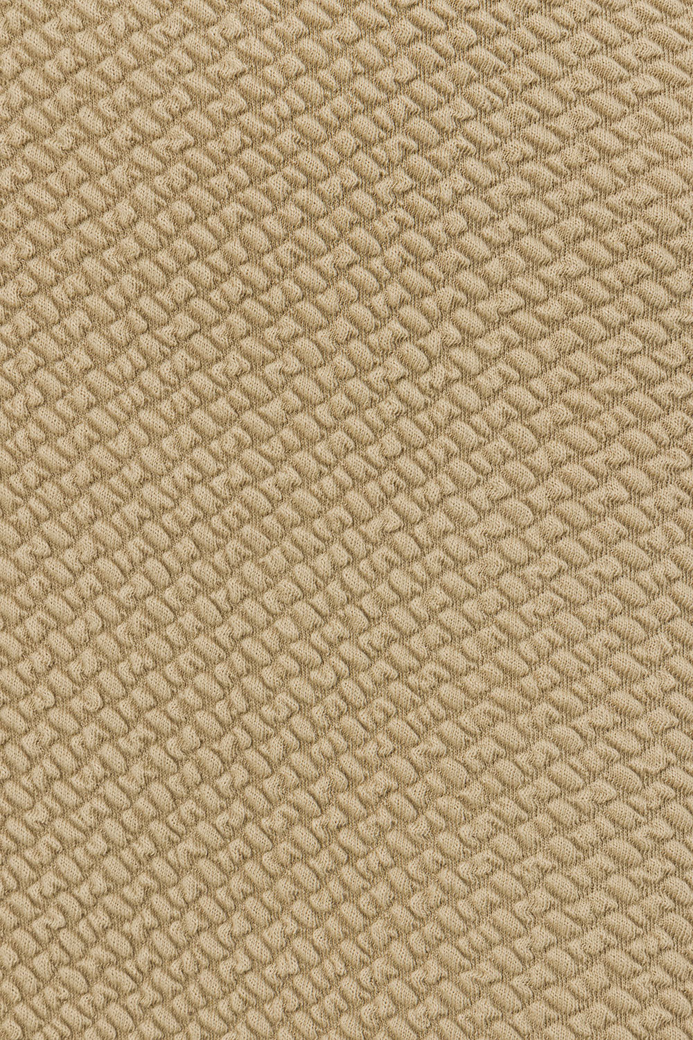 true-to-color:#ffffff