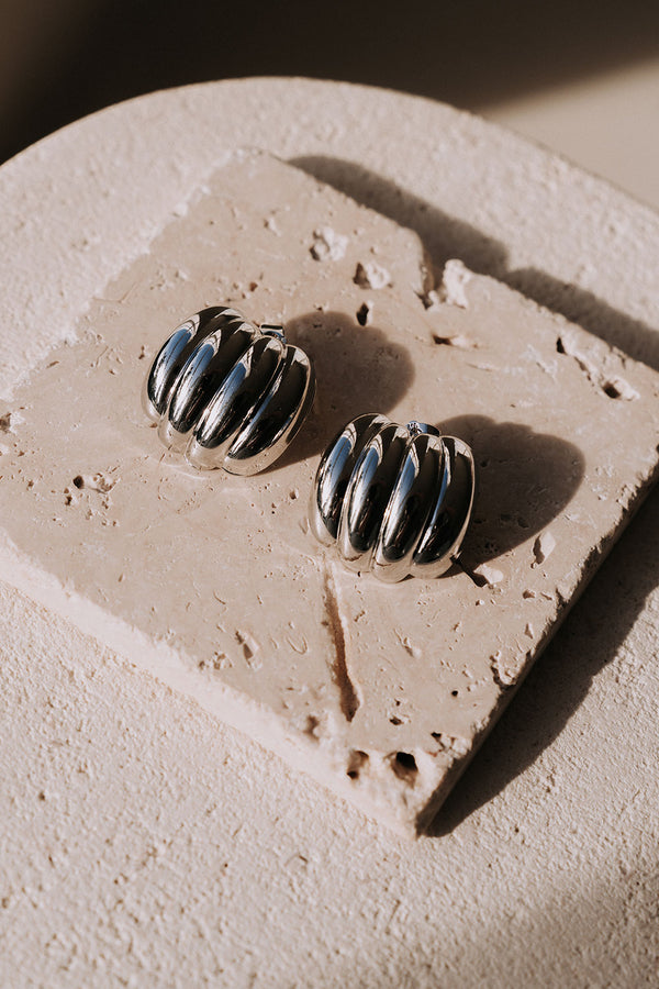 Silver Toned Stainless Steel  Round Samara Earrings