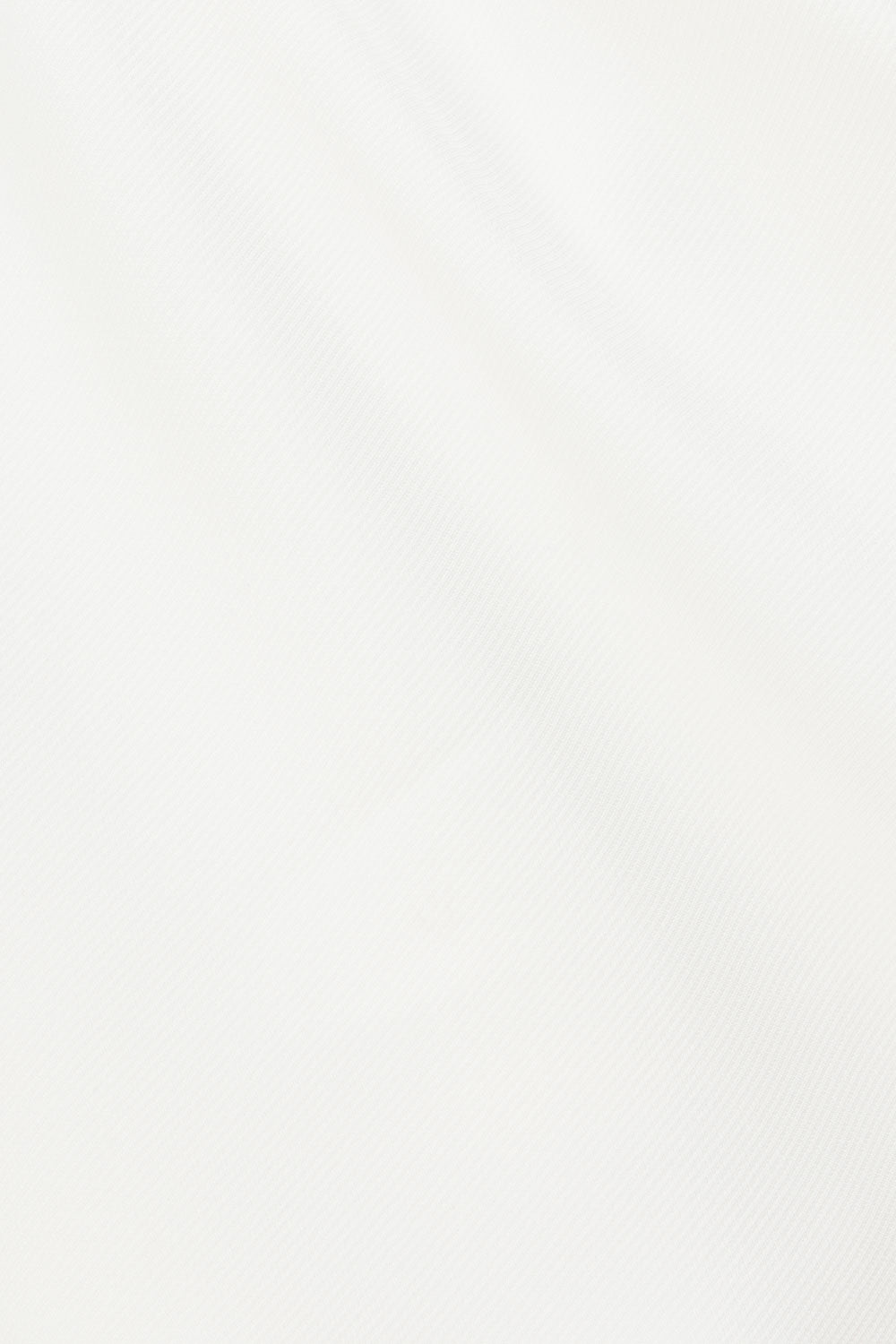 true-to-color:#ffffff