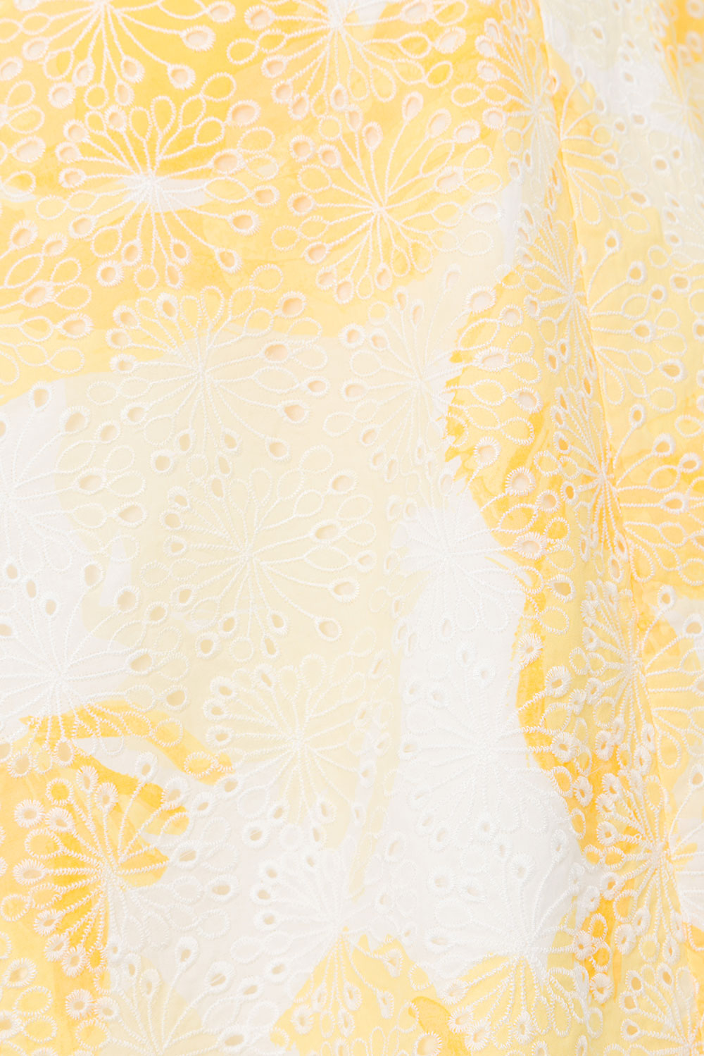 true-to-color:#ffffff