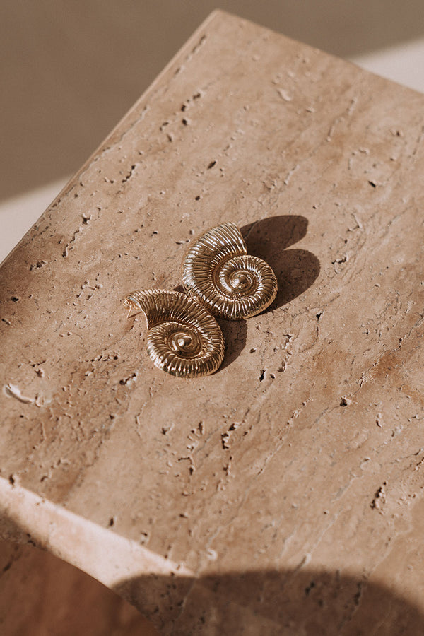 Gold Toned Sundial Shell Earrings