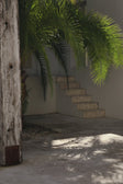 Video, Dien Top - Green