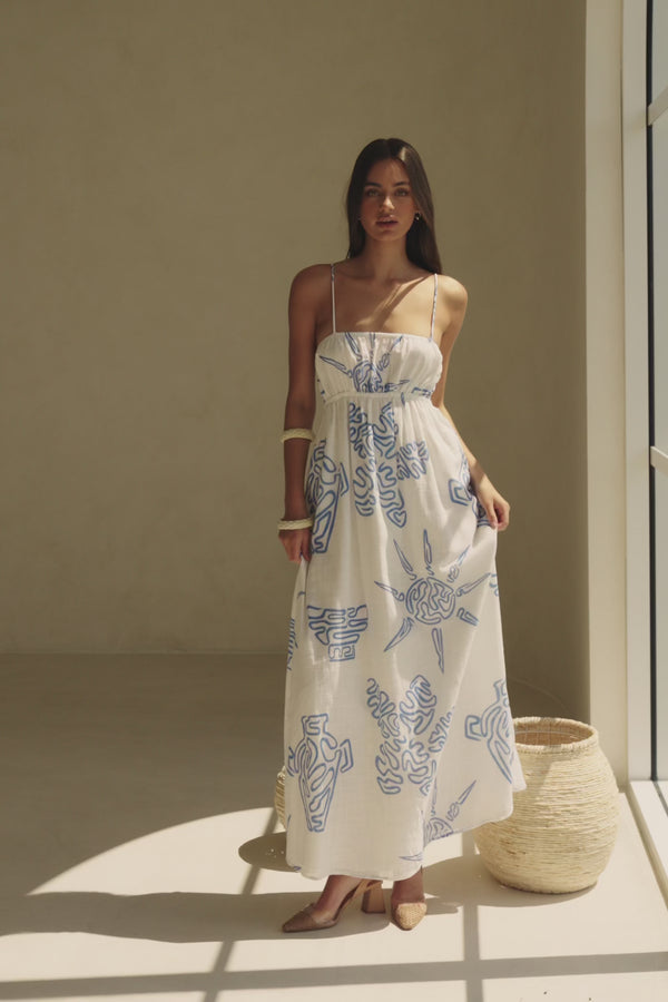 Catie Thin Strap Tropical Backless Maxi Dress - White, Blue Evoke Print
