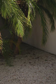 Video, Zenaida Dress - Amalfi Aperol