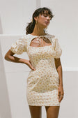 SAMPLE-Tialeigh Dress
